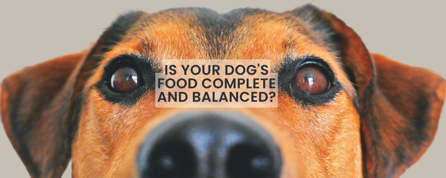 IS YOUR DOG’S FOOD COMPLETE AND BALANCED?