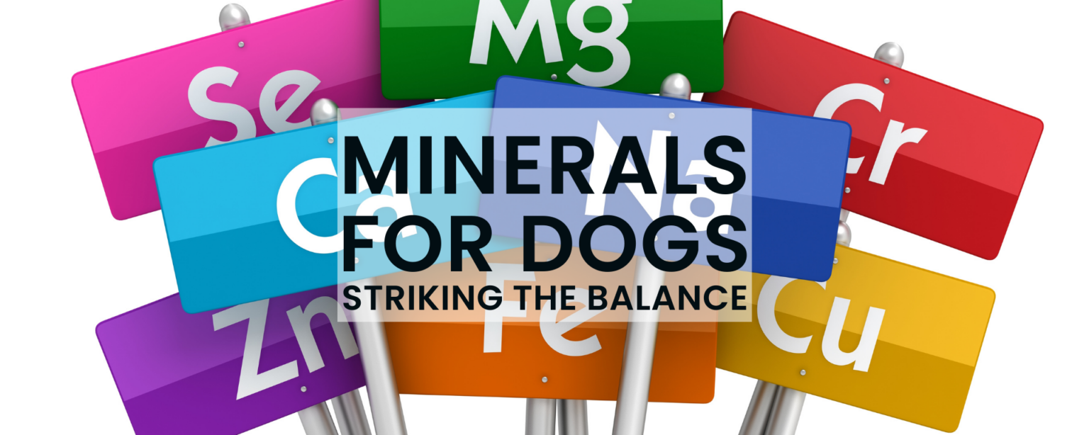 Minerals for Dogs: Striking the Balance